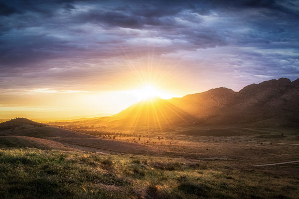 insert alternative description here